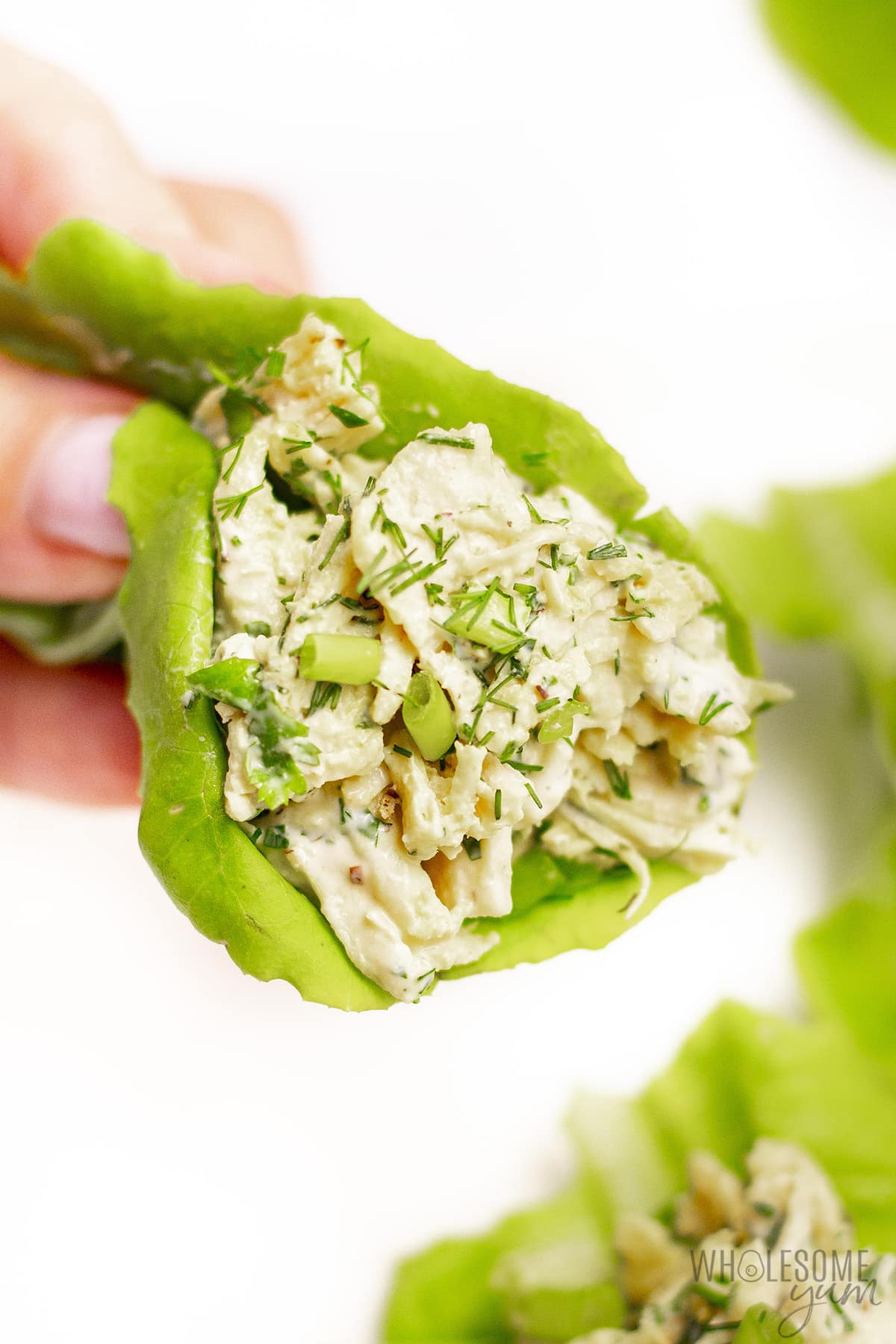 Low carb chicken salad wrapped in lettuce leaf.