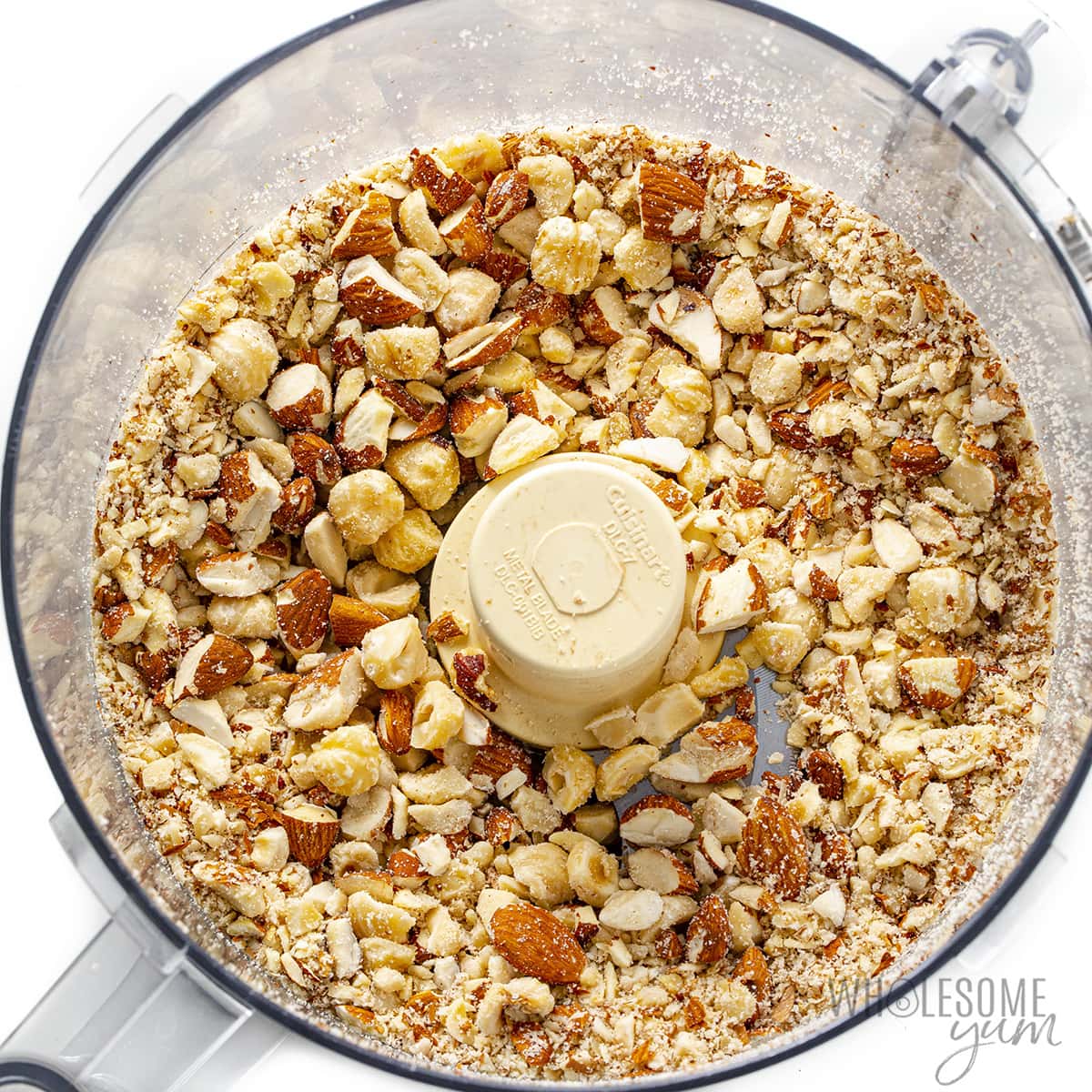 Almonds and hazelnuts pulsed in a food processor.