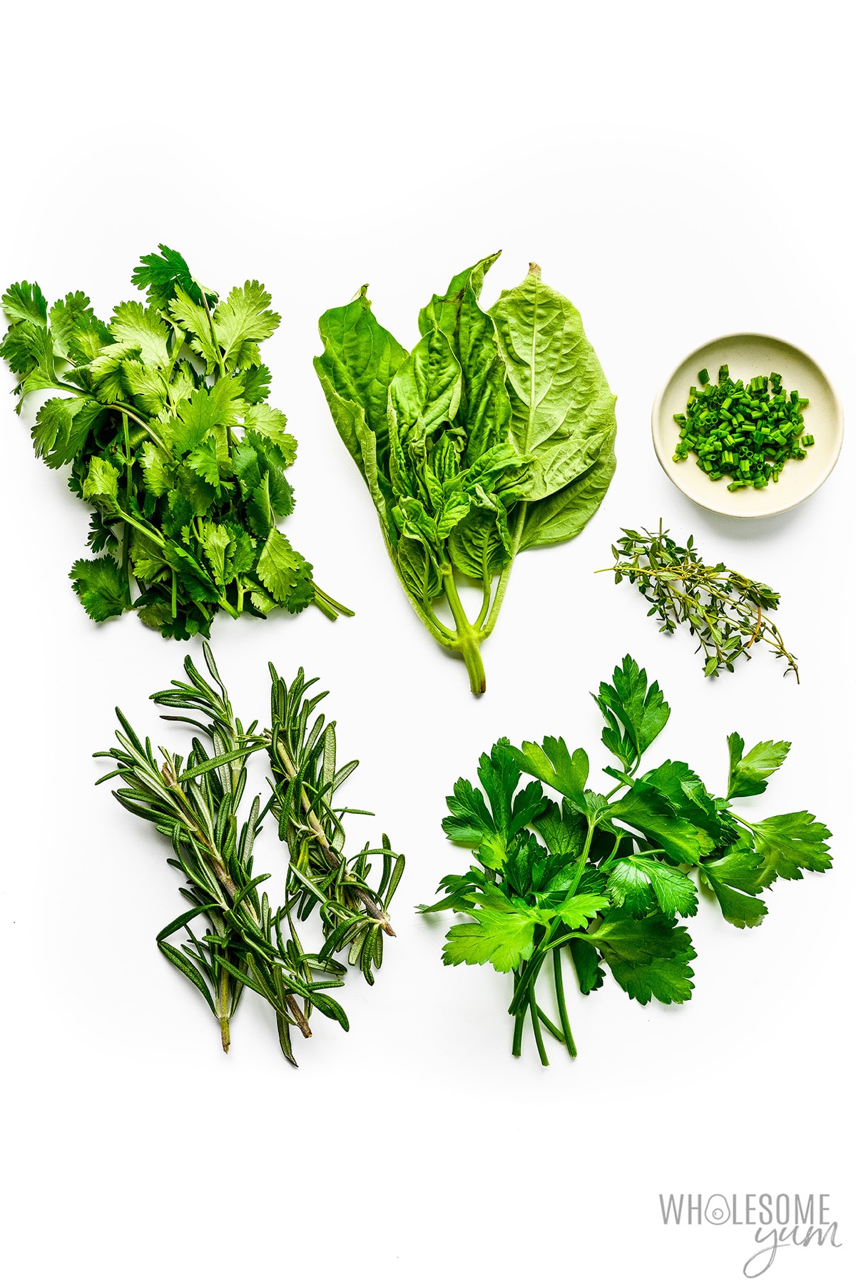 Low carb fresh herbs for a low carb foods list on white background.