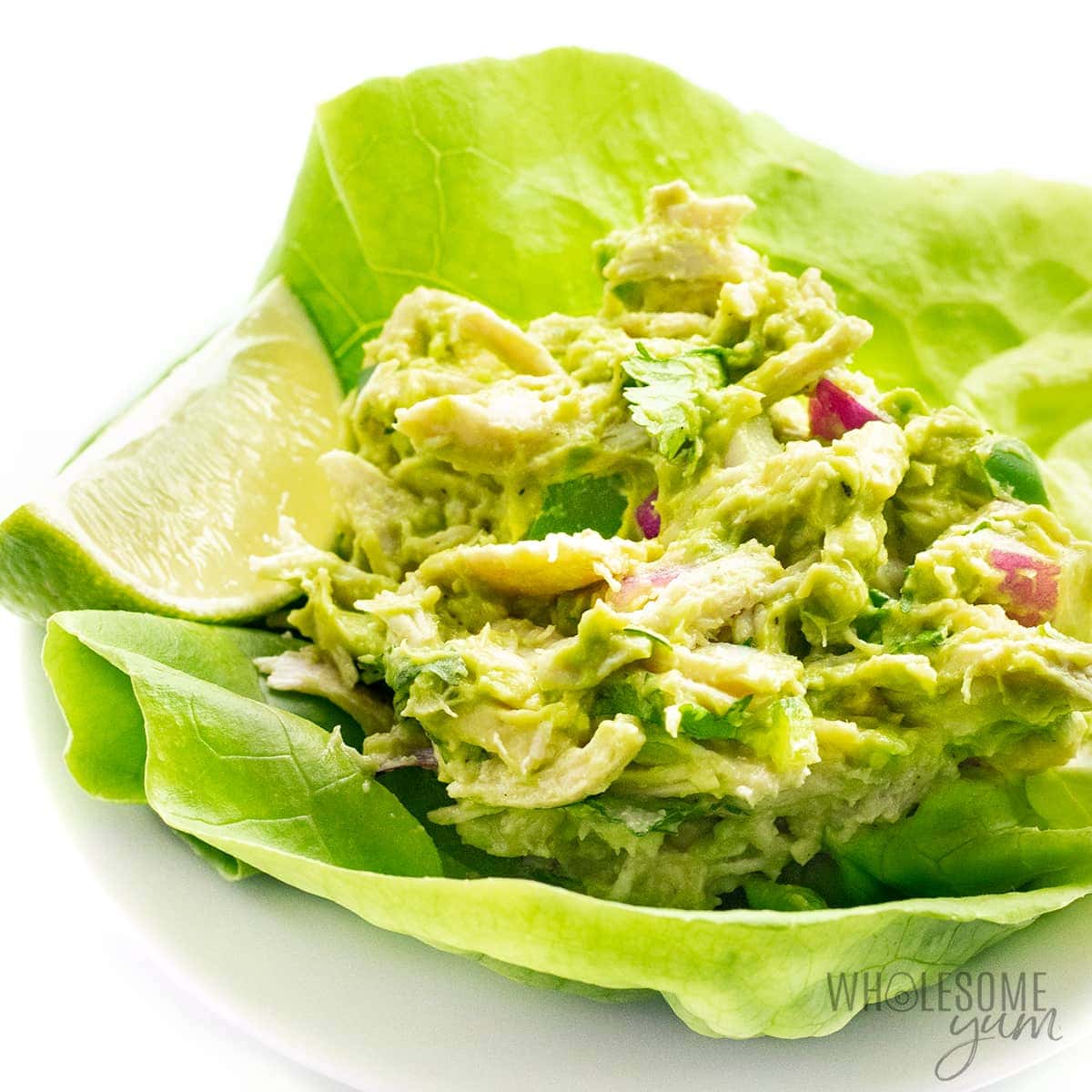 Avocado chicken salad recipe in a lettuce wrap