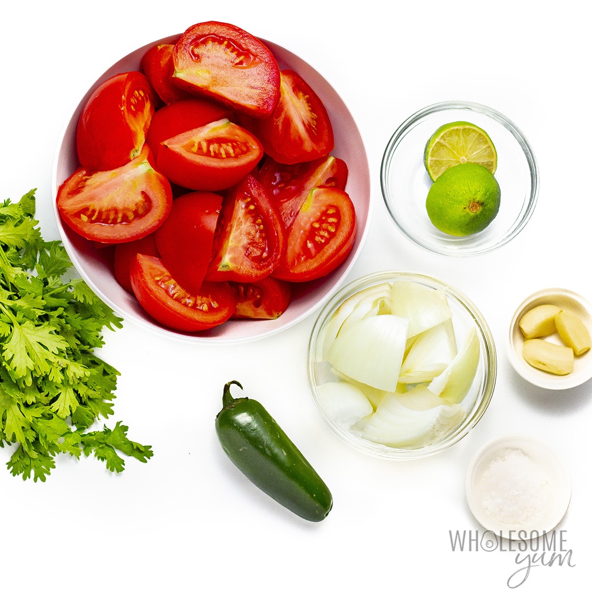 Ingredients for how to make salsa in bowls.