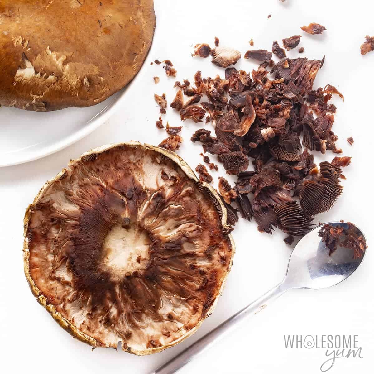 Portobello mushroom with gills removed.
