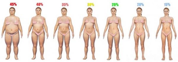 Women's body fat % visual guide