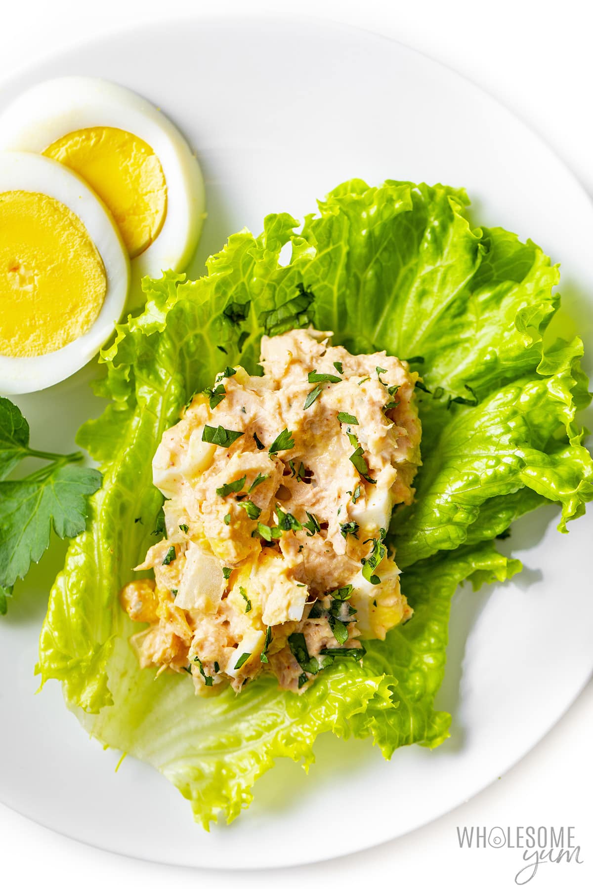 Tuna salad with egg on lettuce leaf.