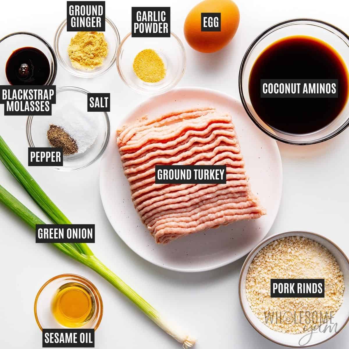 Labeled recipe ingredients: Ground turkey, binder, egg, green onion, coconut aminos, blackstrap molasses, ground ginger, sea salt, black pepper, sesame oil, and garlic powder.