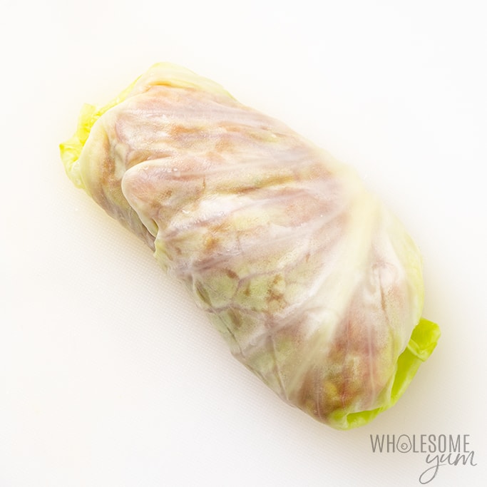 Cabbage roll without rice or sauce on white background.