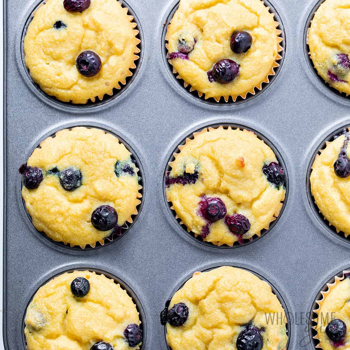 Baked coconut flour blueberry muffins in the muffin pan.