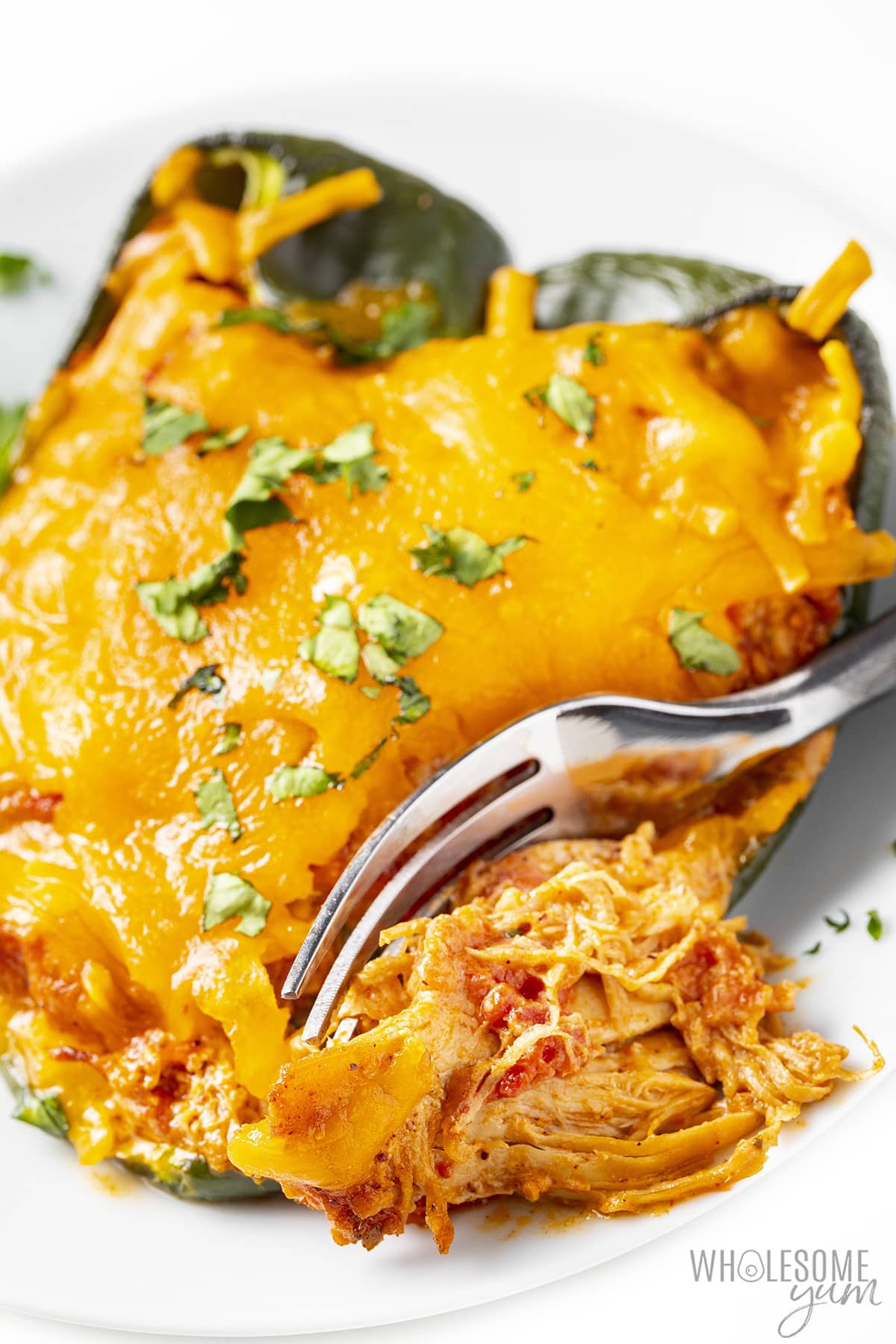 Chicken and cheese stuffed poblano pepper on a plate with fork.