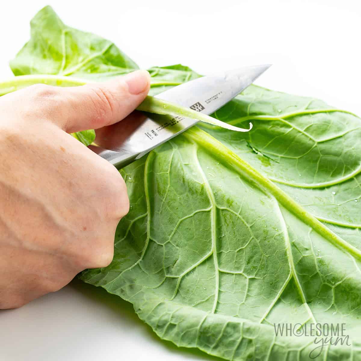 Trimming the thick stem from collard green leaf.