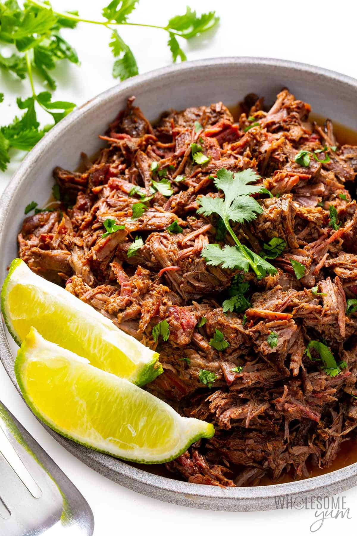 Big pile of copycat Chipotle barbacoa on a plate.