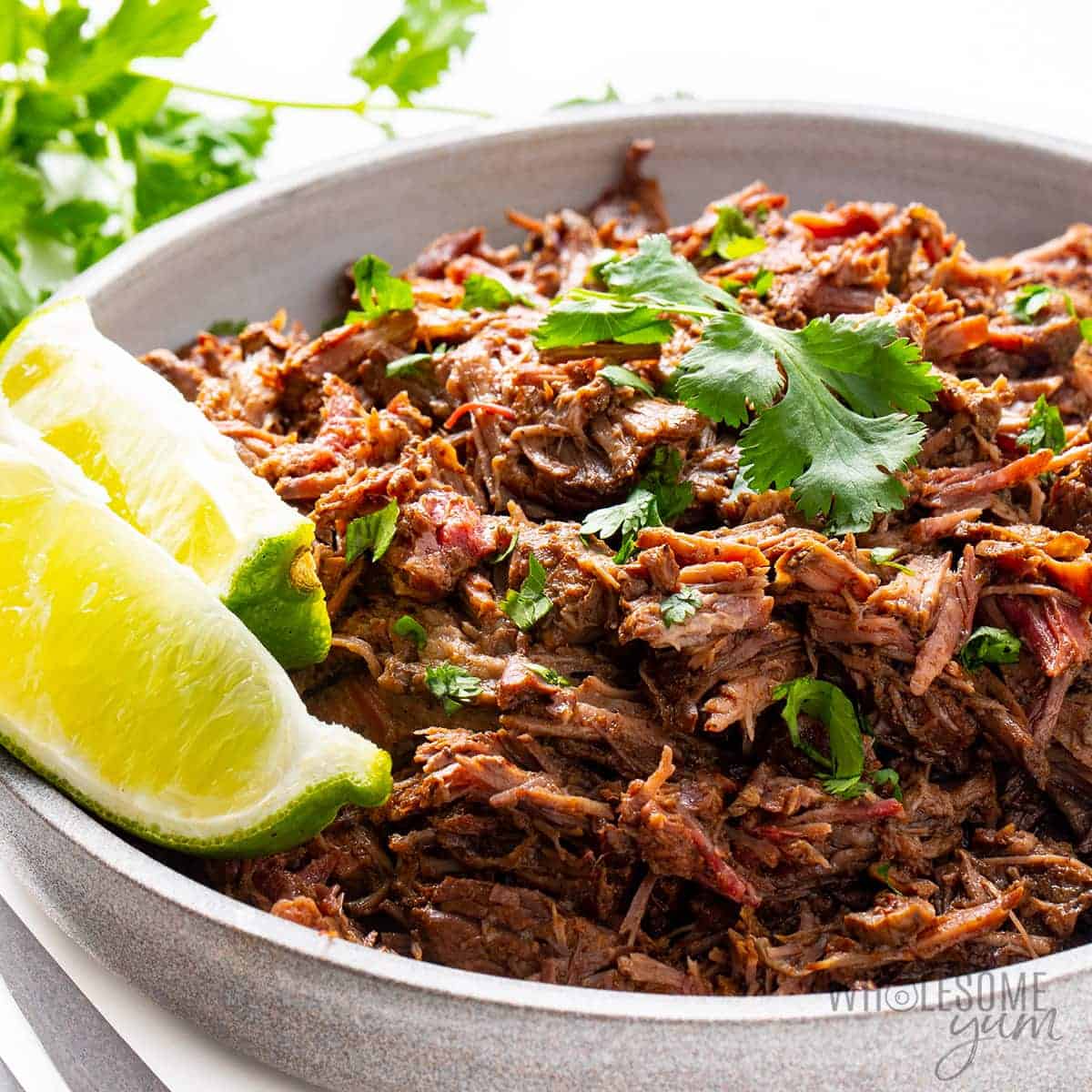 Traditional Mexican Beef Barbacoa Recipe Infoupdate