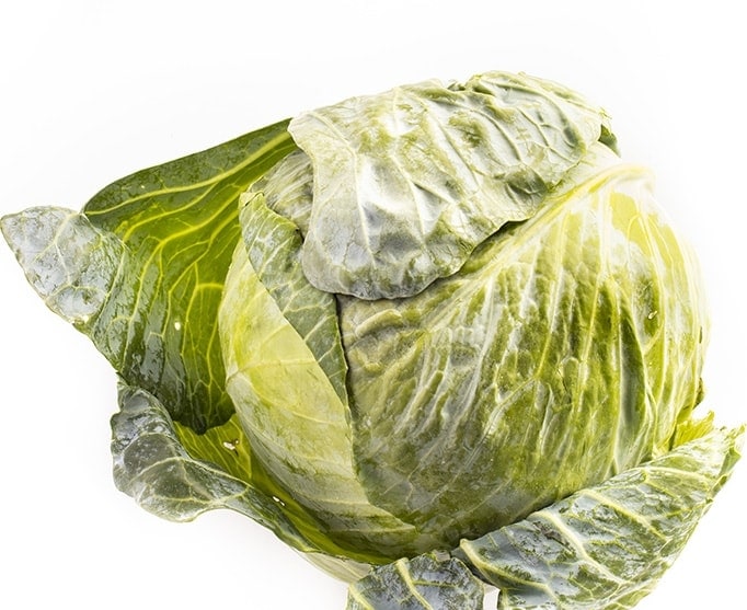 Head of cabbage on white background.