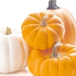 Pile of pumpkins on white background.