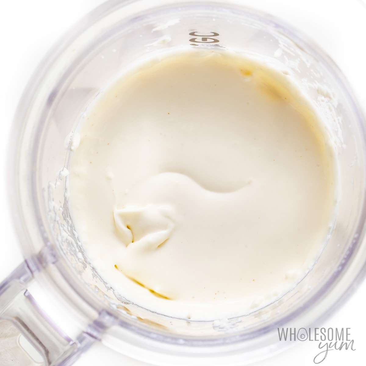 Low carb yogurt in a blender.