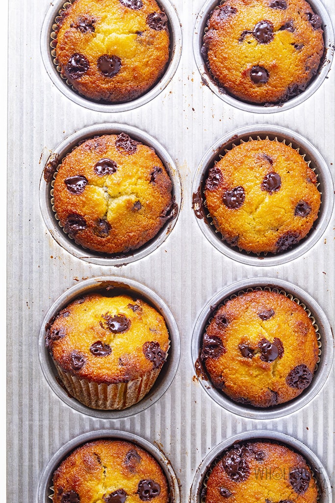 Baked almond flour chocolate chip muffins in a muffin tin