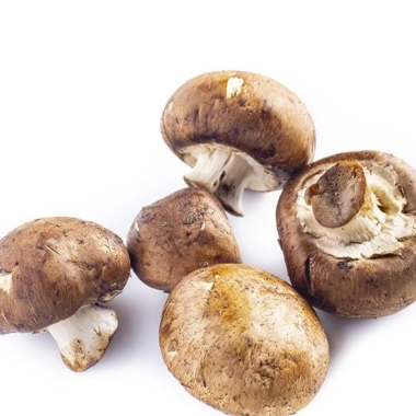 Mushrooms on a white background.