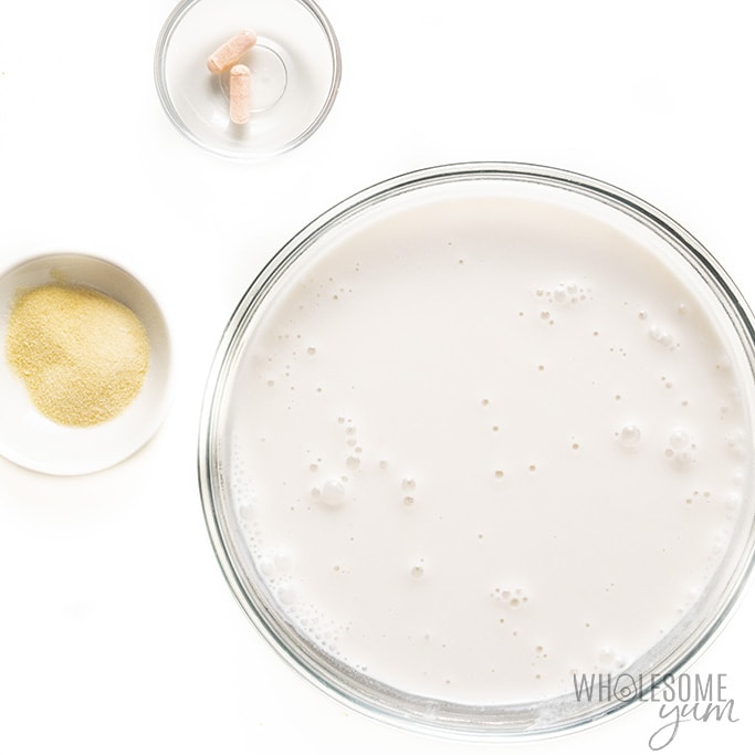 Coconut milk yogurt ingredients in bowls