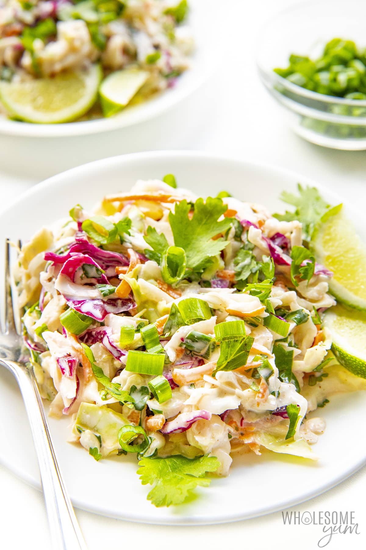Cilantro lime coleslaw for tacos on a plate.