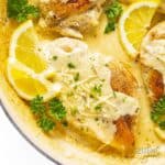 Creamy Lemon Parmesan Chicken Recipe Closeup