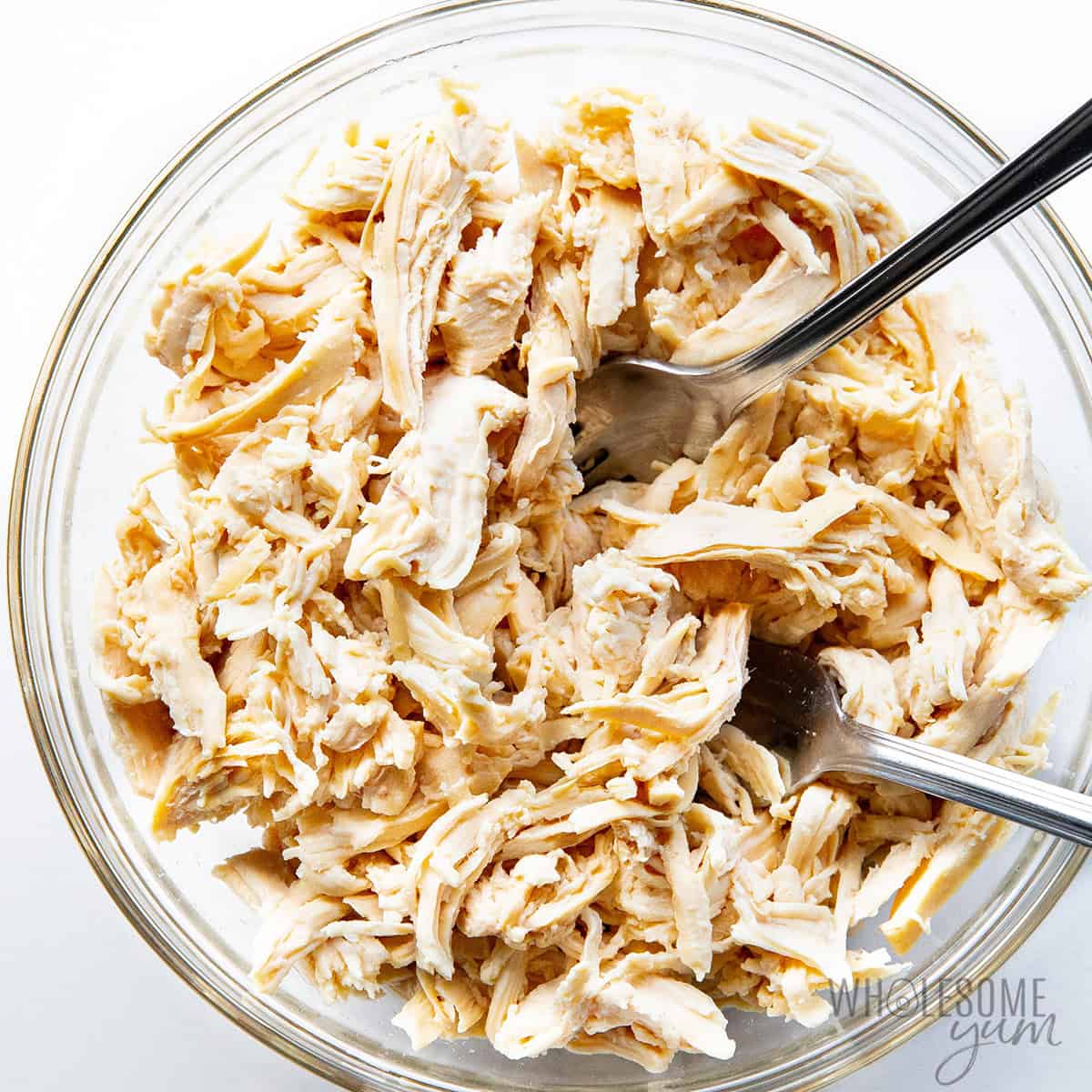 Shredded chicken in a bowl with two forks.