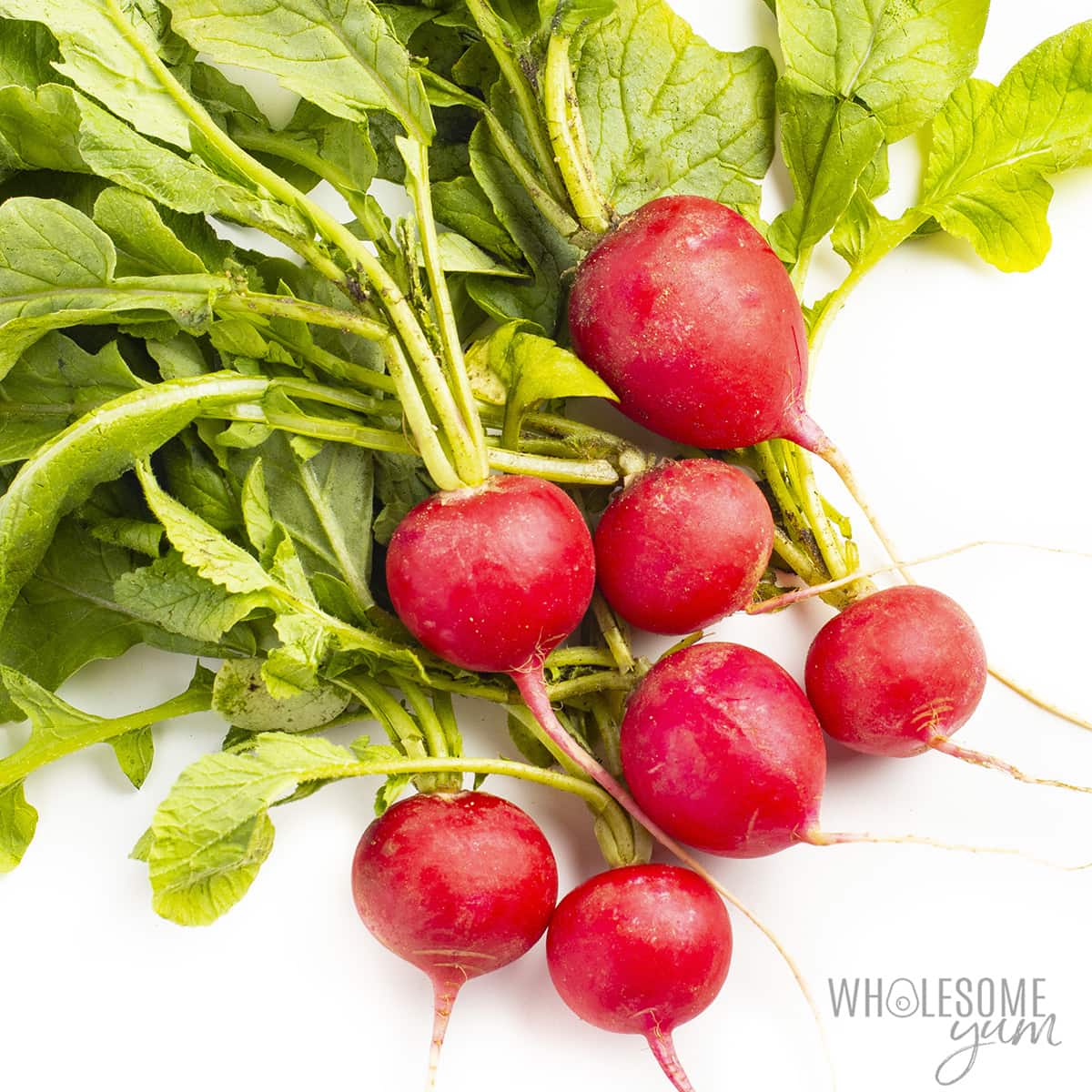 Bunch of radishes that are keto friendly