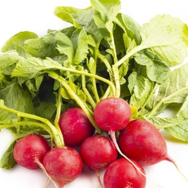 Radishes on white background.