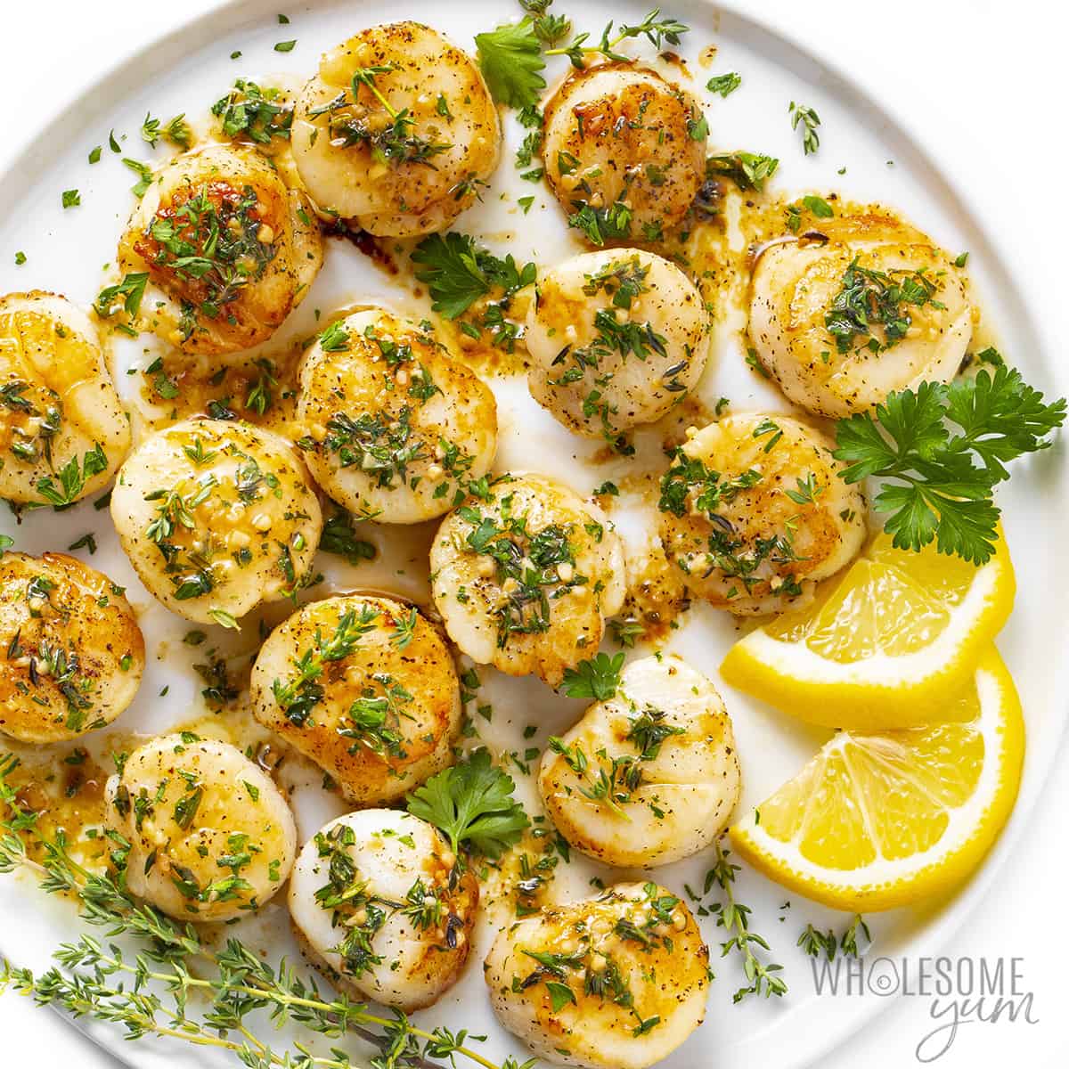 Plate of pan seared callops with parsley and lemon slices.
