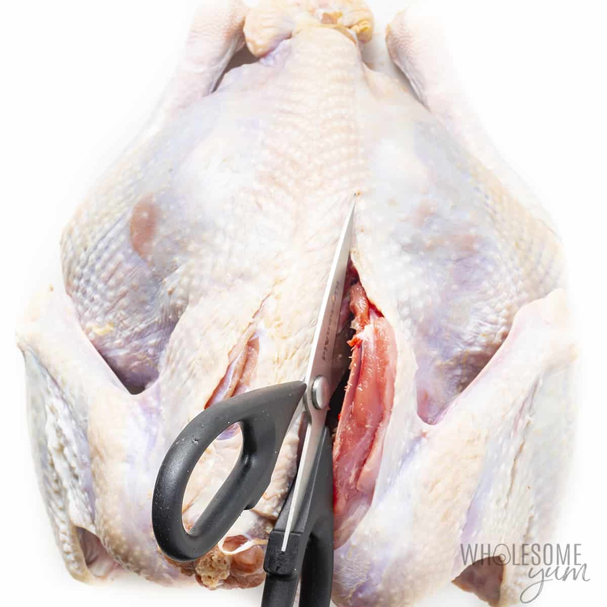 Kitchen shears cutting out backbone of turkey
