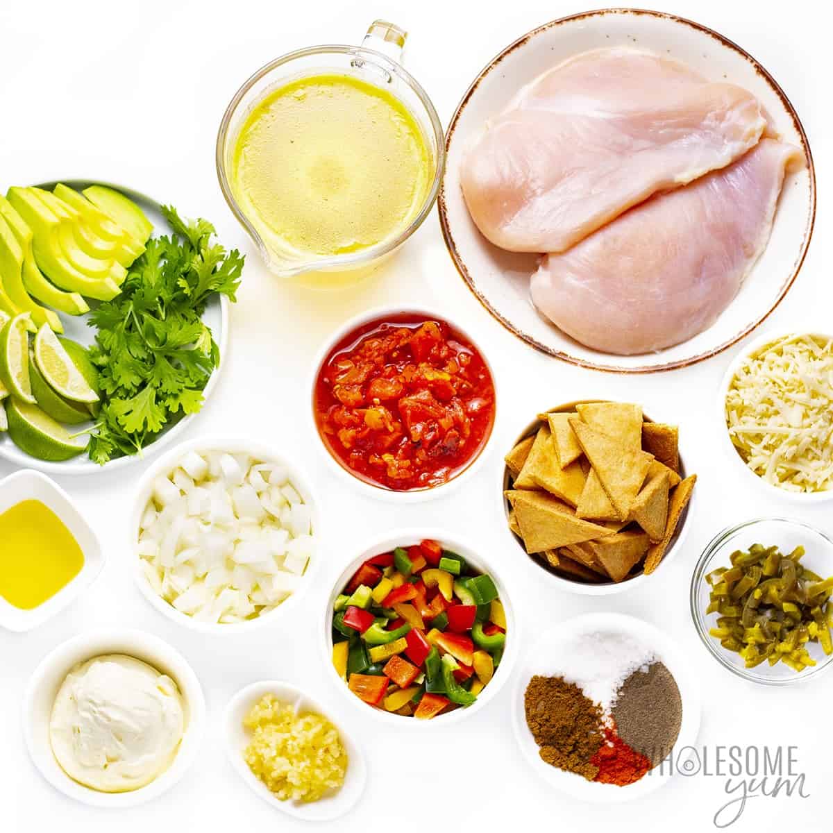 Ingredients to make chicken tortilla soup