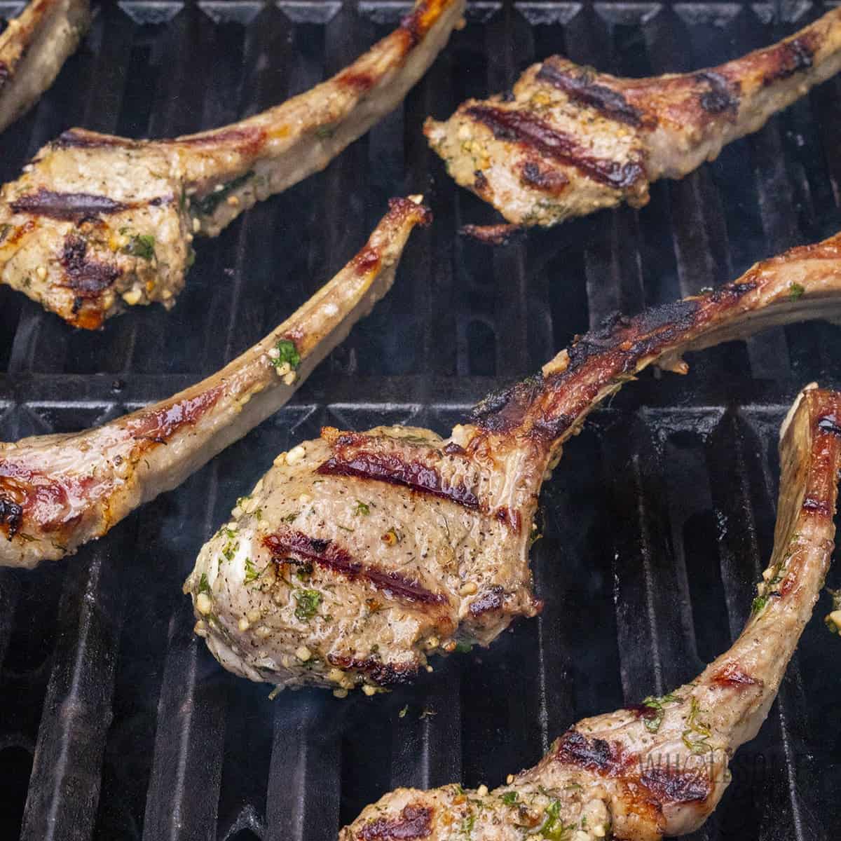 Lamb chops grilling on grill grates.