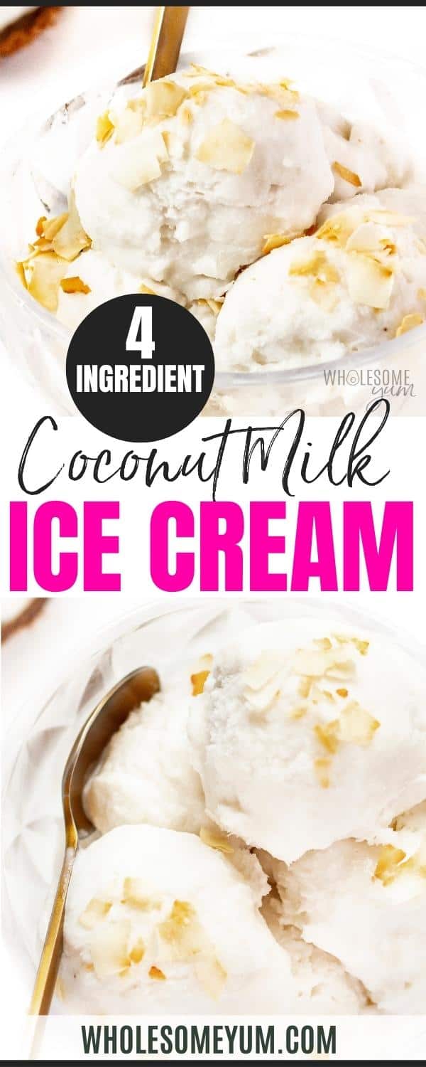 Coconut milk ice cream recipe pin.