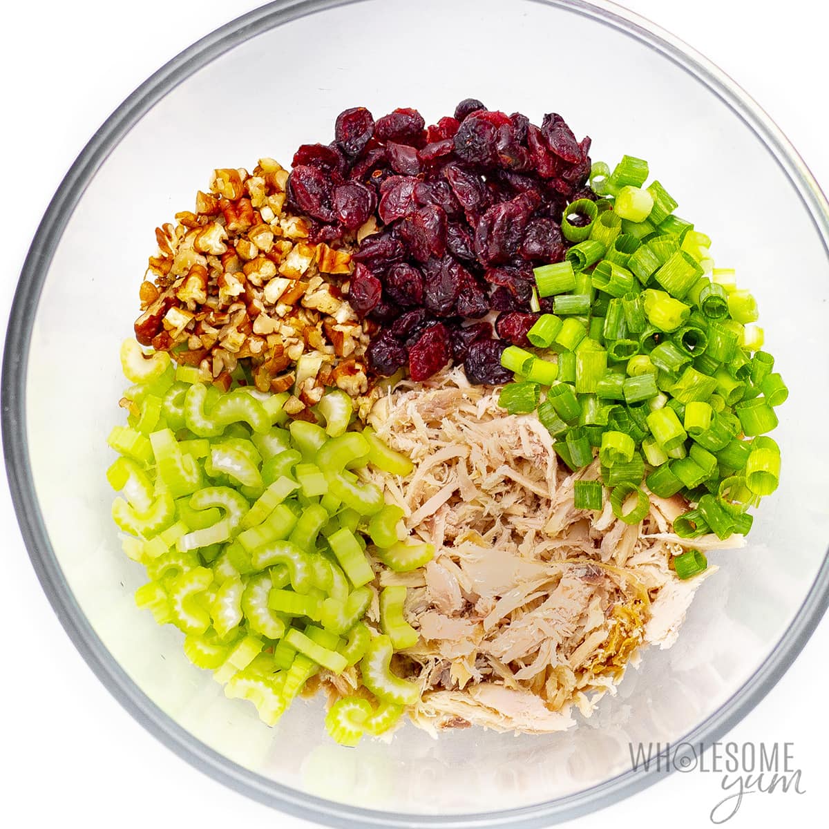 Turkey, celery, cranberries, peans, and green onions in a bowl.