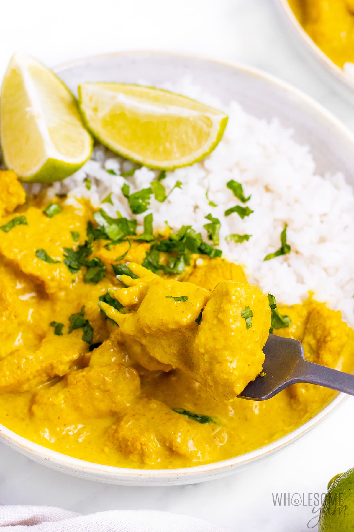 Chicken korma plated with rice.
