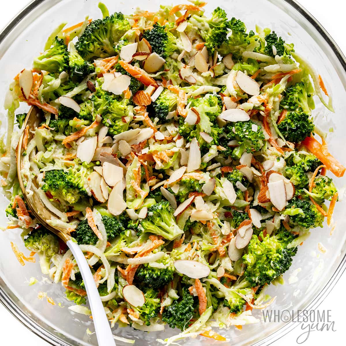 Broccoli slaw tossed with dressing in a bowl with a spoon.