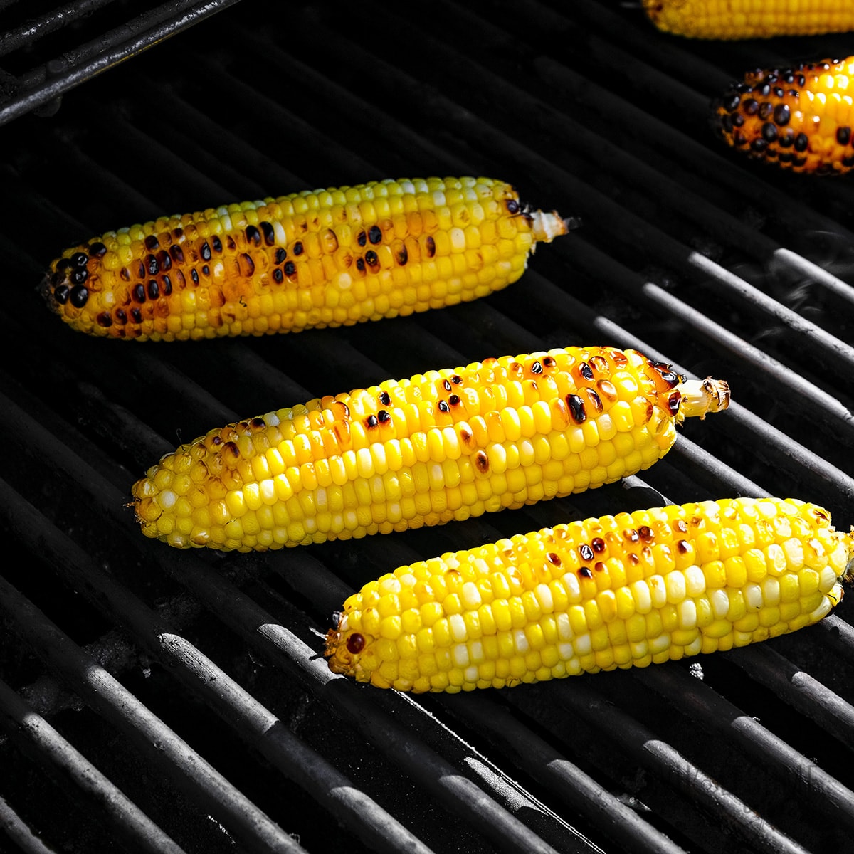 Grilled corn on grates.