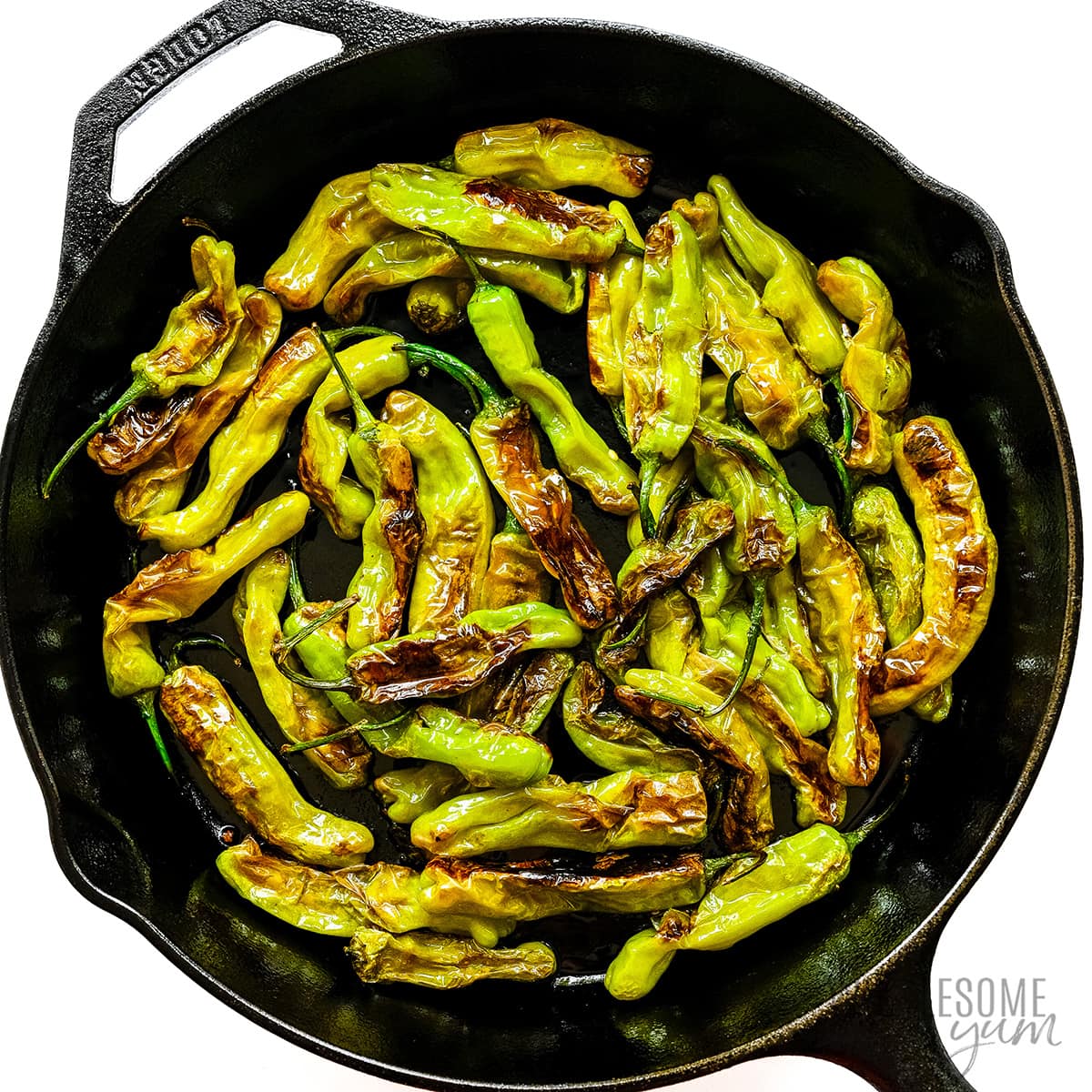 Blistered shishito peppers in skillet.