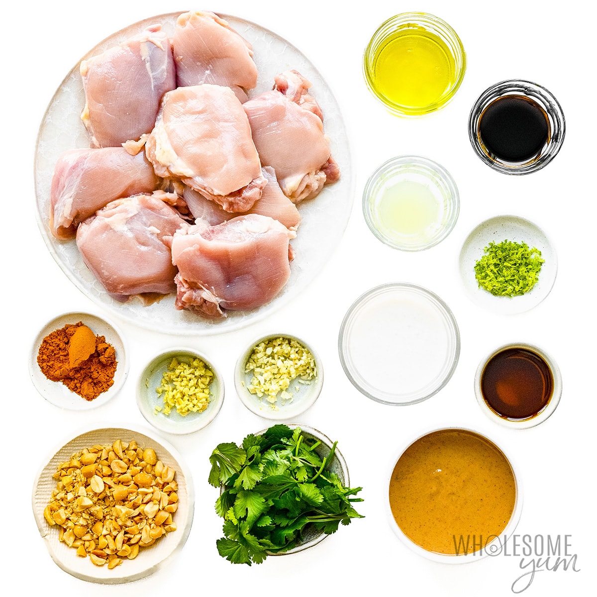 Chicken satay recipe ingredients.