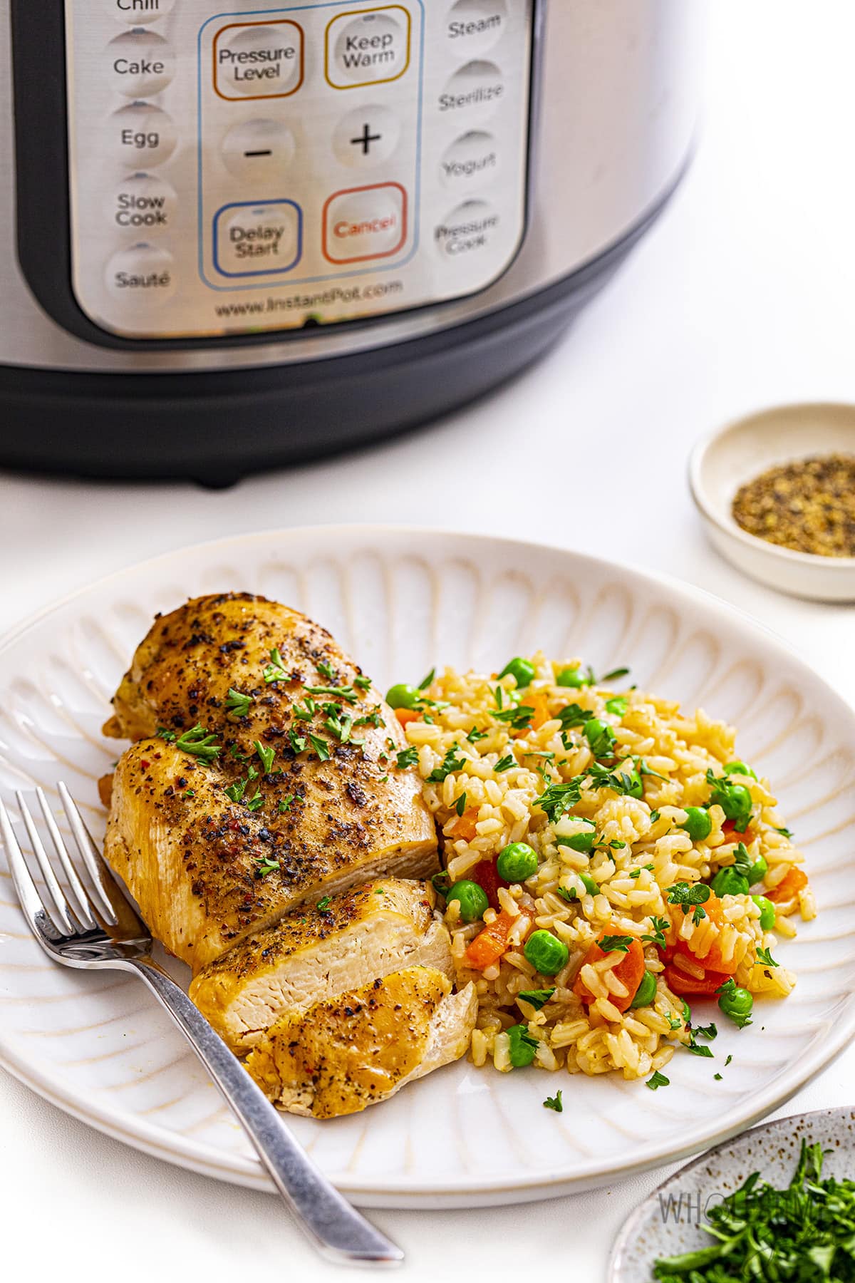 Instant Pot chicken and rice on a plate with Instant Pot in the background.