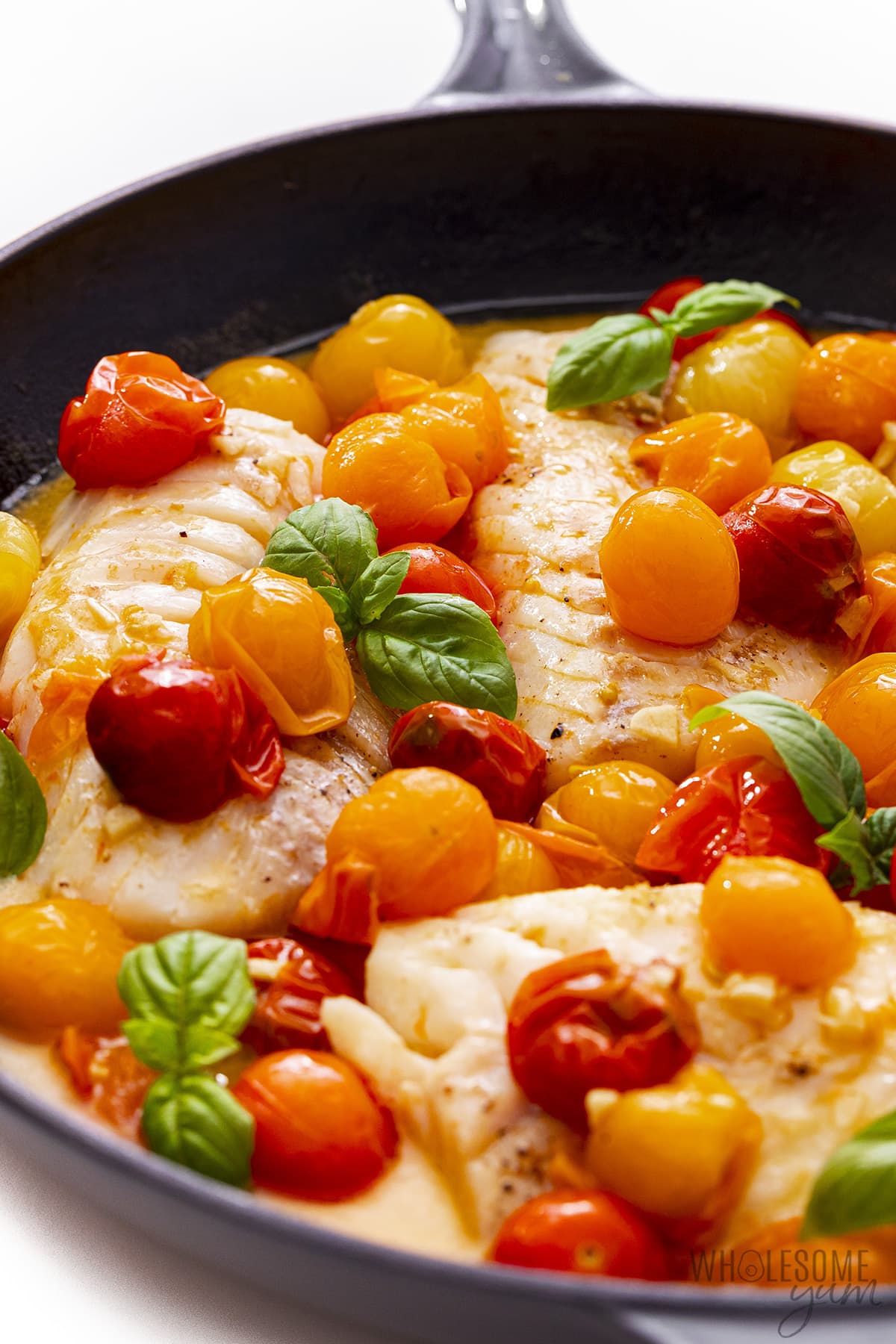 Pan fried cod in a pan, topped with tomatoes and basil.