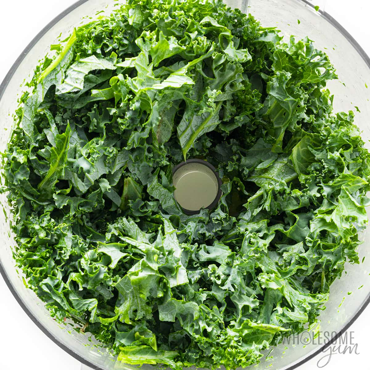 Shredded kale in a food processor.