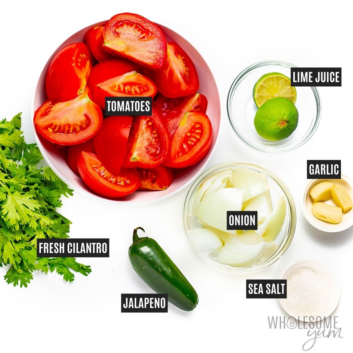 Tomatoes, onions, cilantro, limes, garlic, and salt in bowls with labels.