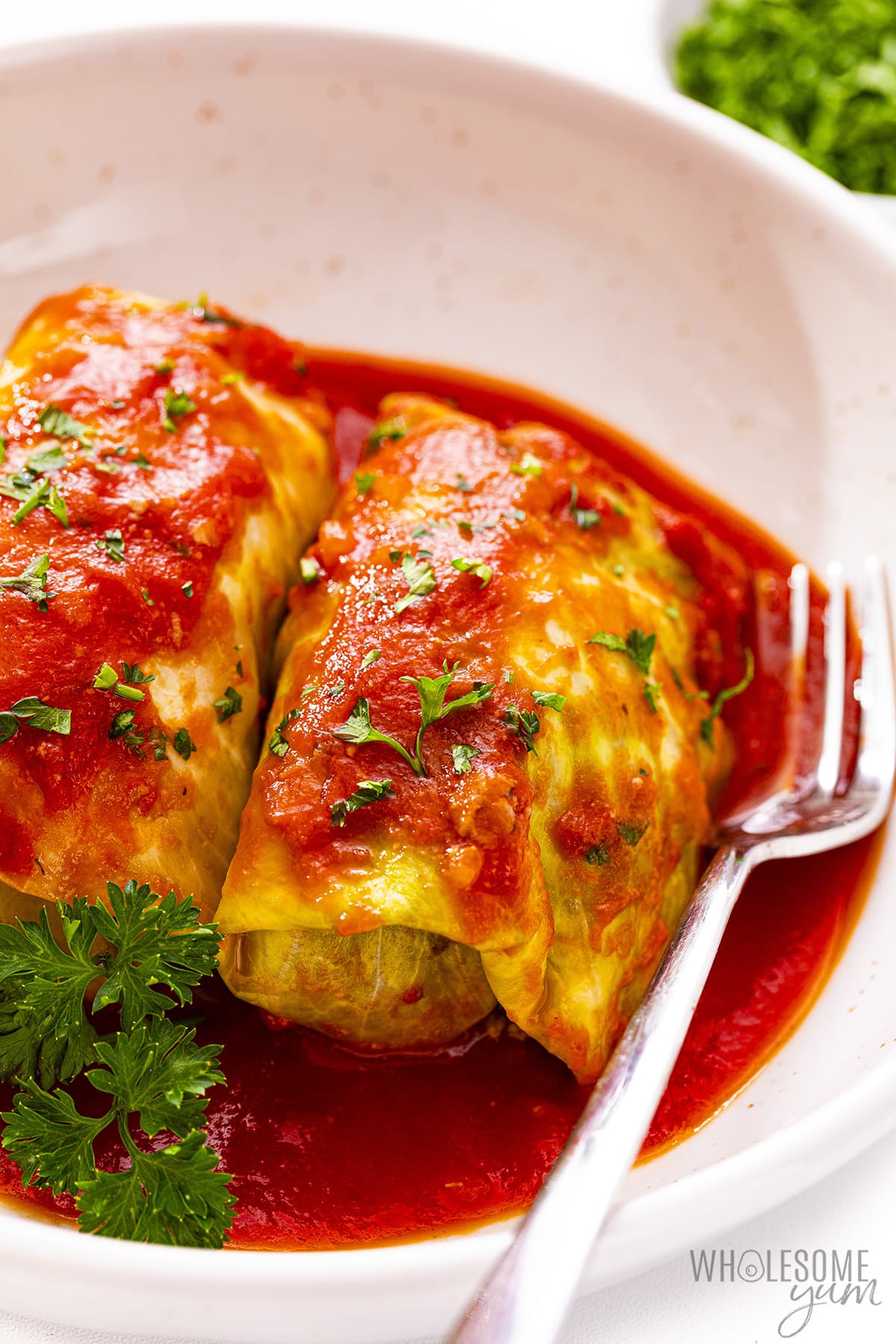 Two stuffed cabbage rolls close up in a bowl with a fork and parsley garnish.