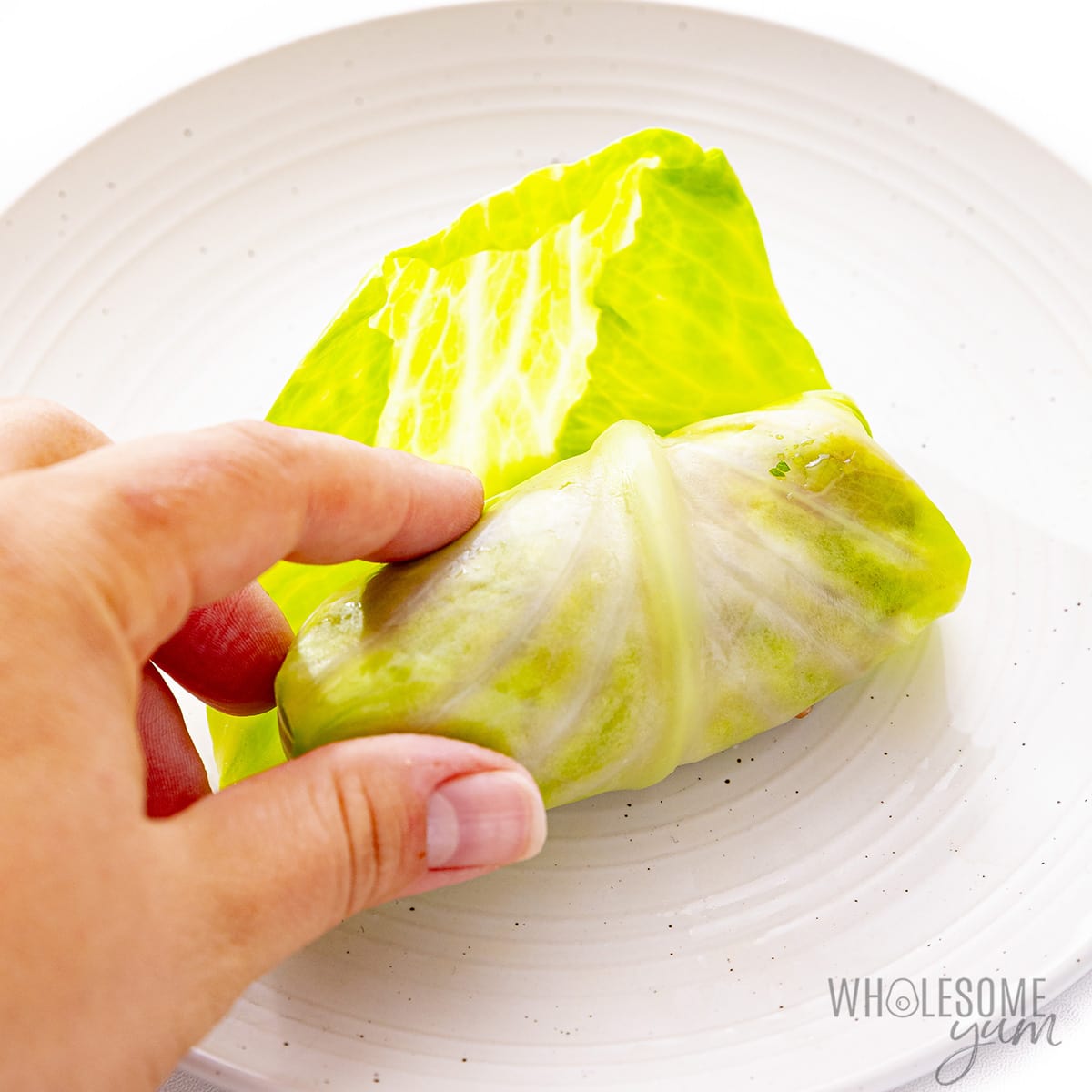 Cabbage leaf rolled around the filling.