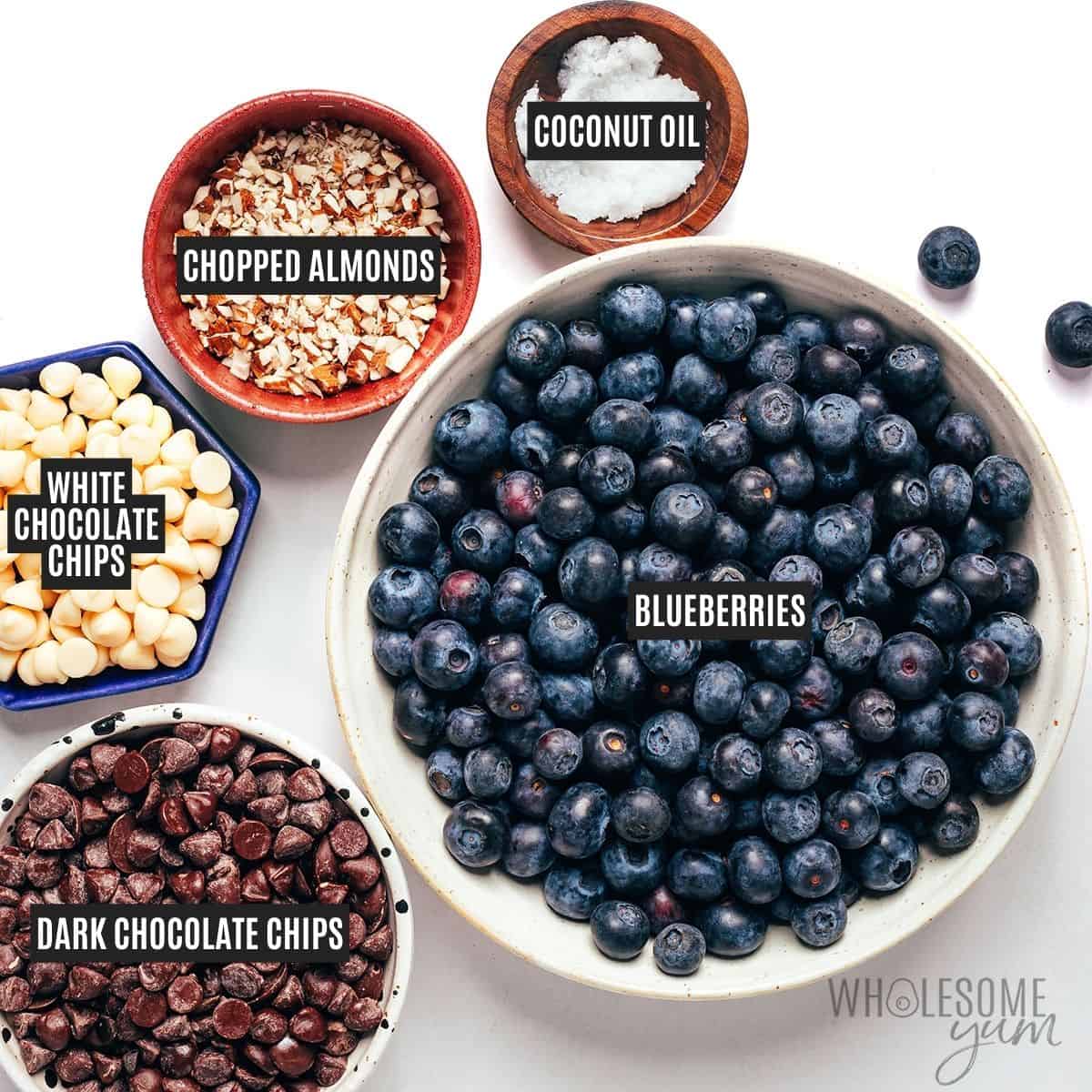 Labeled recipe ingredients: Blueberries, dark chocolate chips, coconut oil, chopped almonds, and white chocolate chips.