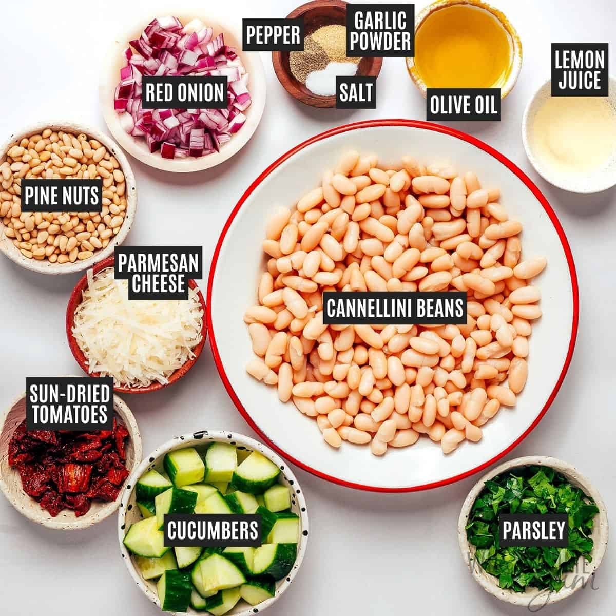 Labeled recipe ingredients: Cannellini beans, cucumbers, sun-dried tomatoes, red onion, pine nuts, parmesan cheese, parsley, olive oil, lemon juice, and spices.