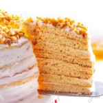Medovik honey cake close up on a spatula.