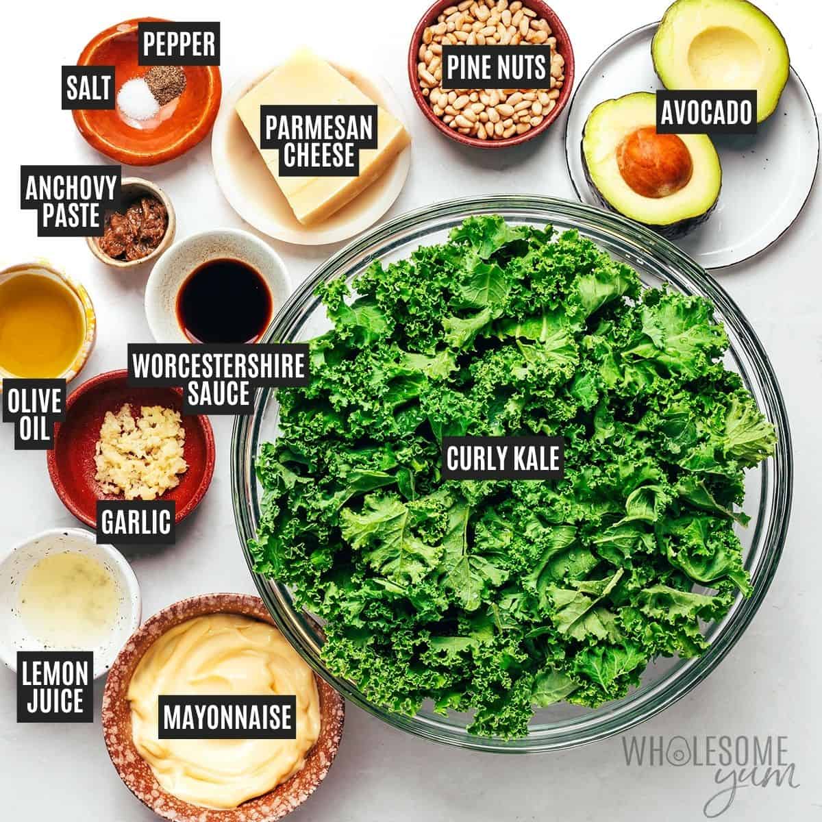 Labeled recipe ingredients: curly kale, mayonnaise, avocado, Parmesan cheese, pine nuts, olive oil, lemon juice, anchovy paste, Worcestershire sauce, garlic, sea salt, and black pepper.